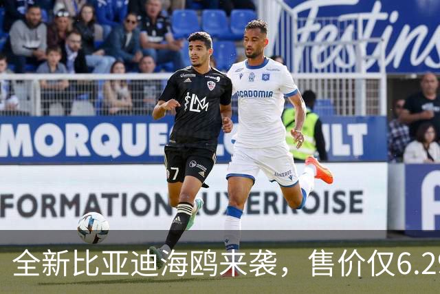 全新比亚迪海鸥来袭，售价仅6.29万，敢与吉利星愿一较高下？