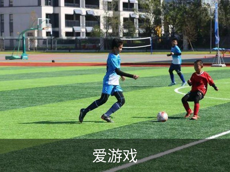 爱游戏介绍